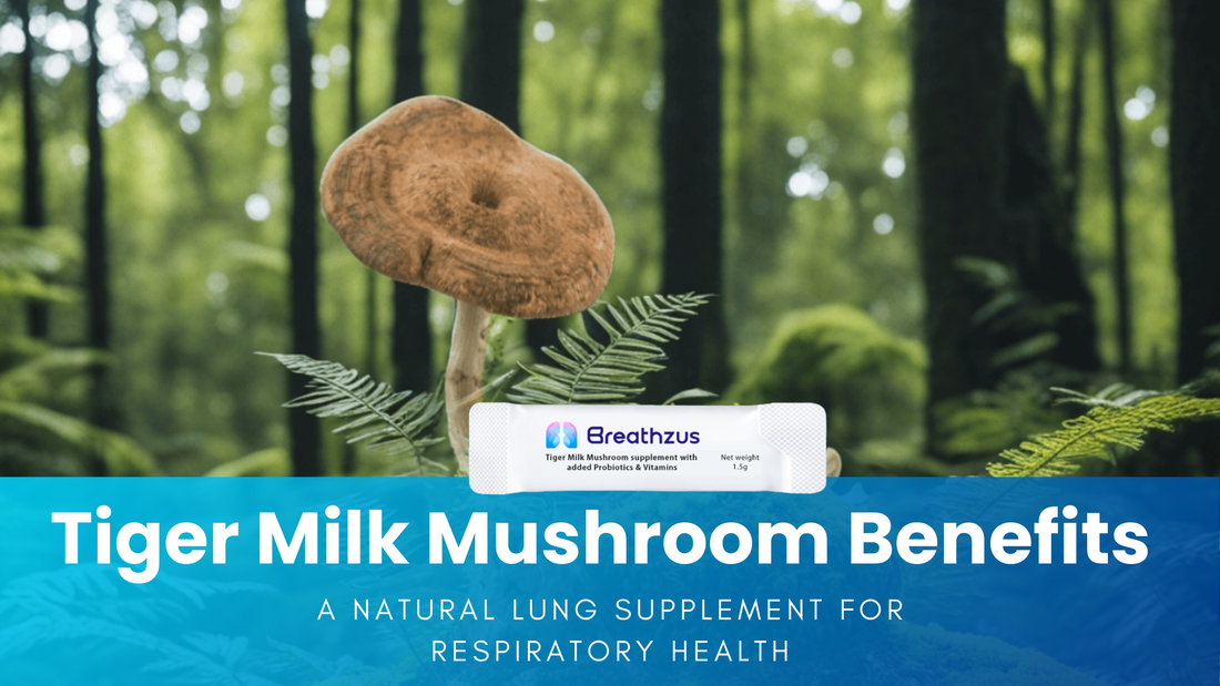 Tiger milk mushroom lung supplement